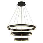 Люстра светодиодная с 3-мя плафонами в форме колец из акрила и алюминия с пультом для регулировки света Ring Horizontal Anthracite варинант исполнения - 1 | Loft Concept в Барнауле