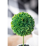 Декоративный искусственное растение Boxwood One варинант исполнения - 8 | Loft Concept в Барнауле