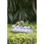 Кашпо Canaries варинант исполнения - 8 | Loft Concept в Барнауле