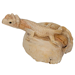 Статуэтка из дерева ящерица Animals of the World варинант исполнения - 2 | Loft Concept в Барнауле