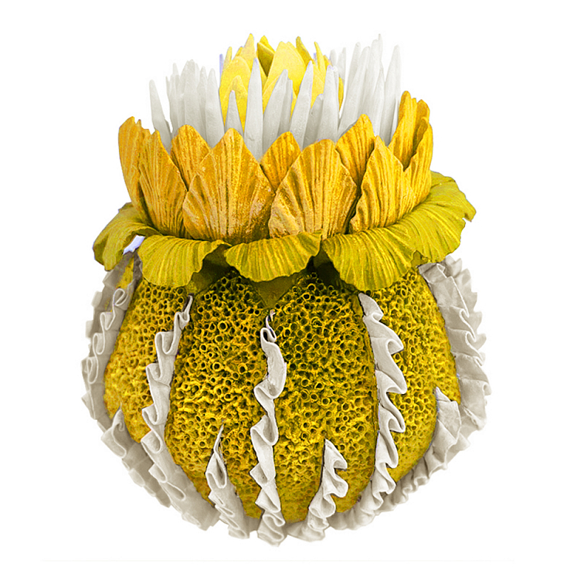 Желтый Экзотический фрукт Yellow Pandora Exotic Fruit 44 Желтый Желтый Экзотический фрукт Yellow Pandora Exotic Fruit 44 Желтый в Барнауле | Loft Concept