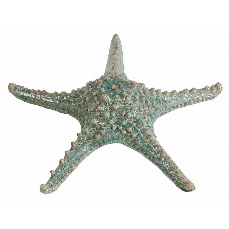 Аксессуар Starfish Бирюзовый Серый Аксессуар Starfish Бирюзовый Серый в Барнауле | Loft Concept