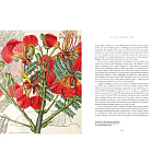 Прекрасно иллюстрированная книга более 100 ботанических произведений Plant Hunters Atlas варинант исполнения - 5 | Loft Concept в Барнауле