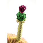 Статуэтка тропический фрукт Pandora Tropical Fruit Orange Two Flowers варинант исполнения - 4 | Loft Concept в Барнауле