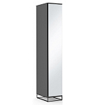 Шкаф-пенал с зеркальной дверцей и фасадом цвета графит Strict Lines варинант исполнения - 2 | Loft Concept в Барнауле