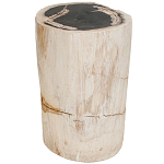 Стул из окаменелого дерева Petrified Wood варинант исполнения - 1 | Loft Concept в Барнауле