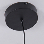 Люстра подвесная светодиодная черный металл Ring Horizontal варинант исполнения - 6 | Loft Concept в Барнауле