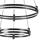 Люстра светодиодная с 2-мя плафонами в форме колец из акрила и алюминия с пультом для регулировки света Ring Horizontal Black варинант исполнения - 1 | Loft Concept в Барнауле