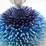 Статуэтка Синий тропический фрукт Tropical Fruit Pandora 4 варинант исполнения - 1 | Loft Concept в Барнауле