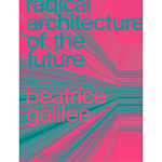 Radical Architecture of the Future варинант исполнения - 1 | Loft Concept в Барнауле