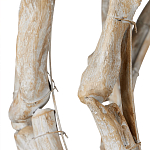 Люстра круглая в виде веток деревьев Natural Driftwood варинант исполнения - 3 | Loft Concept в Барнауле