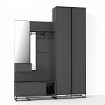 Двухдверный шкаф цвета графит Strict Lines варинант исполнения - 4 | Loft Concept в Барнауле