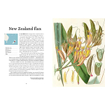 Прекрасно иллюстрированная книга более 100 ботанических произведений Plant Hunters Atlas варинант исполнения - 3 | Loft Concept в Барнауле