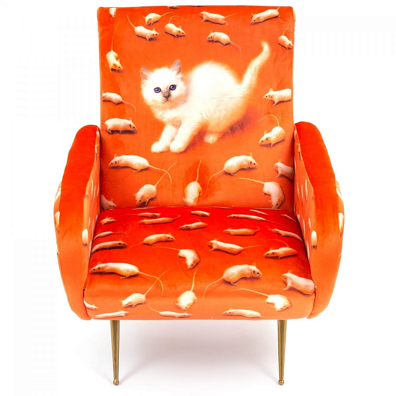 Кресло Seletti Armchair Kitten Оранжевый Латунь Кресло Seletti Armchair Kitten Оранжевый Латунь в Барнауле | Loft Concept