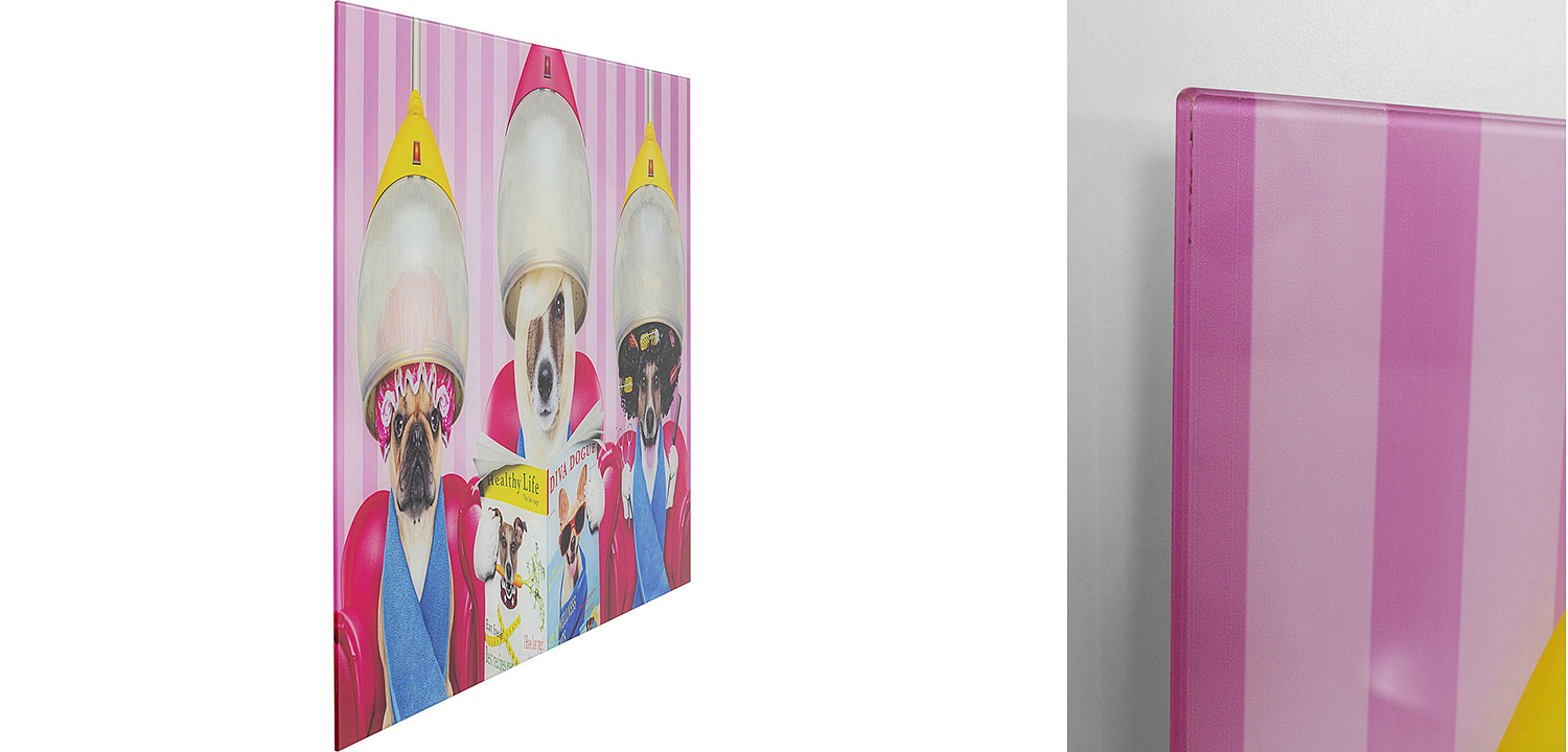 Картина Dogs in a beauty salon  - Loft-Concept в Барнауле