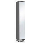 Шкаф-пенал с зеркальной дверцей и фасадом цвета графит Strict Lines варинант исполнения - 1 | Loft Concept в Барнауле