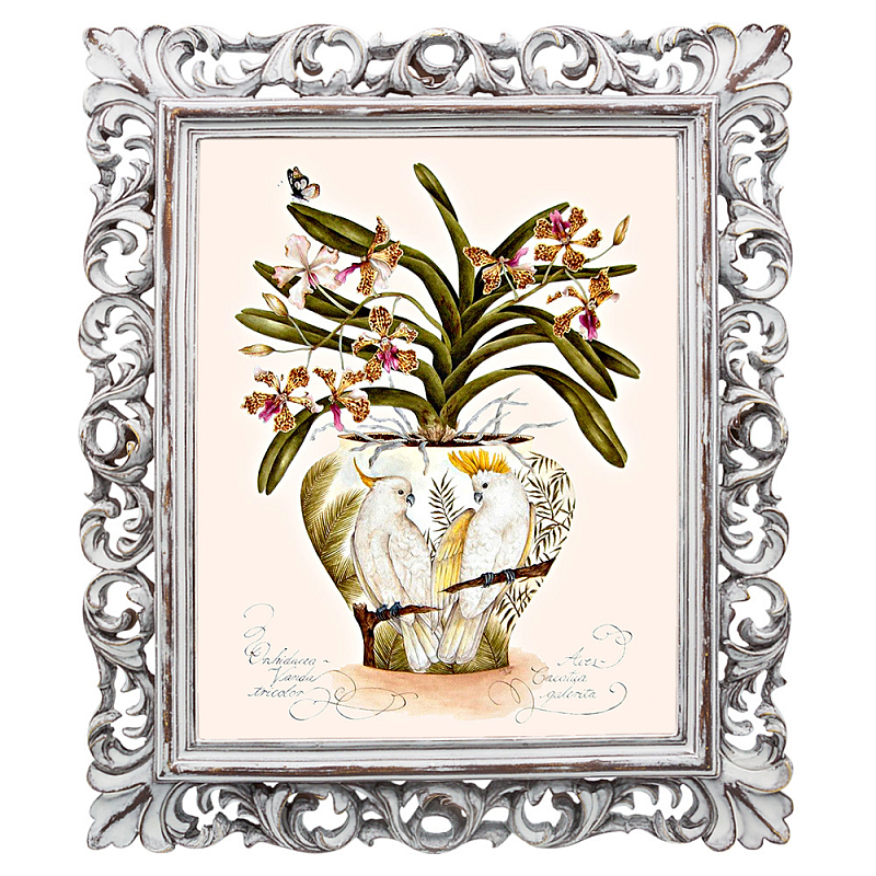 Постер White Parrots and Orchid Poster Мульти Белый винтажная патина Постер White Parrots and Orchid Poster Мульти Белый винтажная патина в Барнауле | Loft Concept