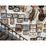 Книга Extraordinary Collections: French Interiors варинант исполнения - 11 | Loft Concept в Барнауле