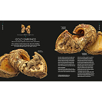 Книга Treasures of India From Antiquity to Modernity варинант исполнения - 3 | Loft Concept в Барнауле