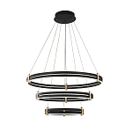 Люстра светодиодная с 3-мя плафонами в форме колец из акрила и алюминия с пультом для регулировки света Ring Horizontal Anthracite варинант исполнения - 6 | Loft Concept в Барнауле