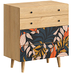 Комод с принтом на ящиках Elise Chest of Drawers варинант исполнения - 2 | Loft Concept в Барнауле