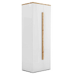 Шкаф платяной с белым глянцевым фасадом Grace of Furniture варинант исполнения - 1 | Loft Concept в Барнауле