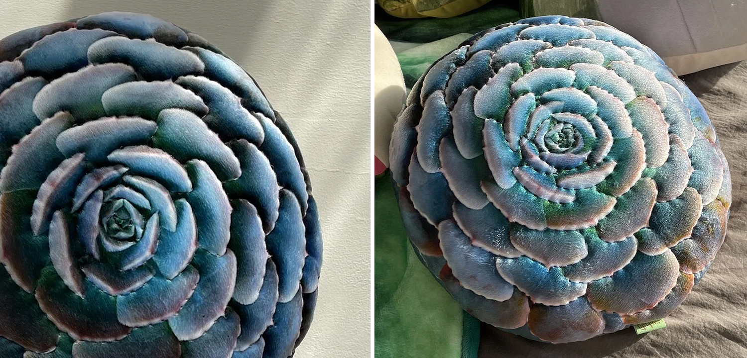 Декоративная подушка Botanical Cushion Succulentus Декоративная подушка Botanical Cushion Succulentus - Loft-Concept в Барнауле