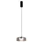 Подвесной светильник Blanton smoky 23 варинант исполнения - 2 | Loft Concept в Барнауле