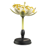 Статуэтка Tilia варинант исполнения - 2 | Loft Concept в Барнауле