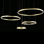 Люстра подвесная светодиодная Jewelry Ring варинант исполнения - 4 | Loft Concept в Барнауле