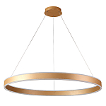 Люстра подвесная светодионая кольцевая золотого цвета Ring Horizontal варинант исполнения - 1 | Loft Concept в Барнауле
