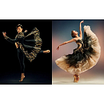 Книга New York City Ballet: Choreography and Couture варинант исполнения - 1 | Loft Concept в Барнауле