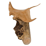 Статуэтка из дерева скат Animals of the World варинант исполнения - 2 | Loft Concept в Барнауле