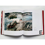 Книга Коллекция картин Сарджента Sargent: The Masterworks варинант исполнения - 6 | Loft Concept в Барнауле