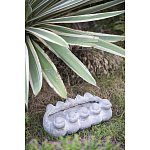 Кашпо Canaries варинант исполнения - 3 | Loft Concept в Барнауле