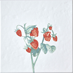 Плитка с узором Земляника варинант исполнения - 2 | Loft Concept в Барнауле