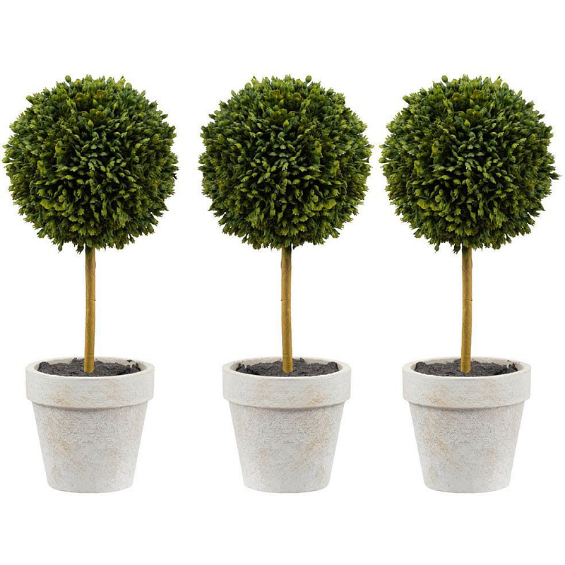 Декоративный искусственное растение Boxwood One Зеленый Бежевый Коричневый Декоративный искусственное растение Boxwood One Зеленый Бежевый Коричневый в Барнауле | Loft Concept