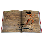 Лимитированная подарочная большая книга CARTIER Panthère варинант исполнения - 12 | Loft Concept в Барнауле