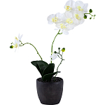 Декоративный искусственное растение Angel Orchid варинант исполнения - 1 | Loft Concept в Барнауле