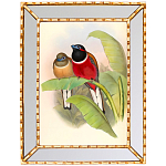 Постер с изображением птиц и цветов в зеркальной раме Blooming Birds Poster варинант исполнения - 6 | Loft Concept в Барнауле