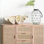 Блюдо декоративное в виде ракушки Seashell варинант исполнения - 1 | Loft Concept в Барнауле