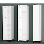 Шкаф-пенал белый с зеркальной дверцей Strict Lines варинант исполнения - 5 | Loft Concept в Барнауле