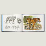 Лимитированная подарочная книга HERMES Fierce and Fragile book, English version варинант исполнения - 2 | Loft Concept в Барнауле