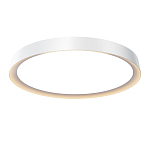 Потолочный светильник Incognito 2700-4000К 46Вт варинант исполнения - 1 | Loft Concept в Барнауле