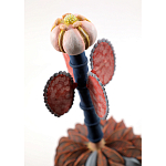 Статуэтка тропический фрукт Pandora Tropical Fruit Orange Brown Pink Flower варинант исполнения - 1 | Loft Concept в Барнауле