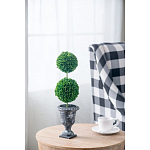 Декоративный искусственное растение Double boxwood варинант исполнения - 5 | Loft Concept в Барнауле