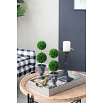 Декоративный искусственное растение Double boxwood варинант исполнения - 8 | Loft Concept в Барнауле