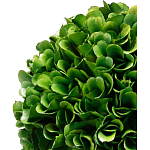 Декоративный искусственное растение Single boxwood варинант исполнения - 2 | Loft Concept в Барнауле