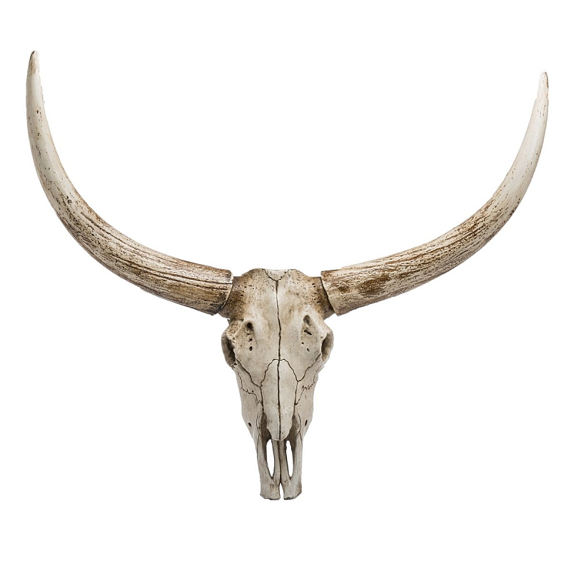 Череп быка Bull Skull Бежево-серый Череп быка Bull Skull Бежево-серый в Барнауле | Loft Concept