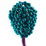 Статуэтка для интерьера фрукт Pandora Tropical Fruit 22 варинант исполнения - 2 | Loft Concept в Барнауле